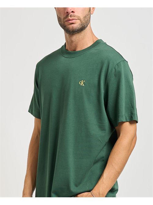 T-shirt uomo Calvin Klein basic girocollo CALVIN KLEIN | LV04RC275GLLG